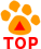 pageTop